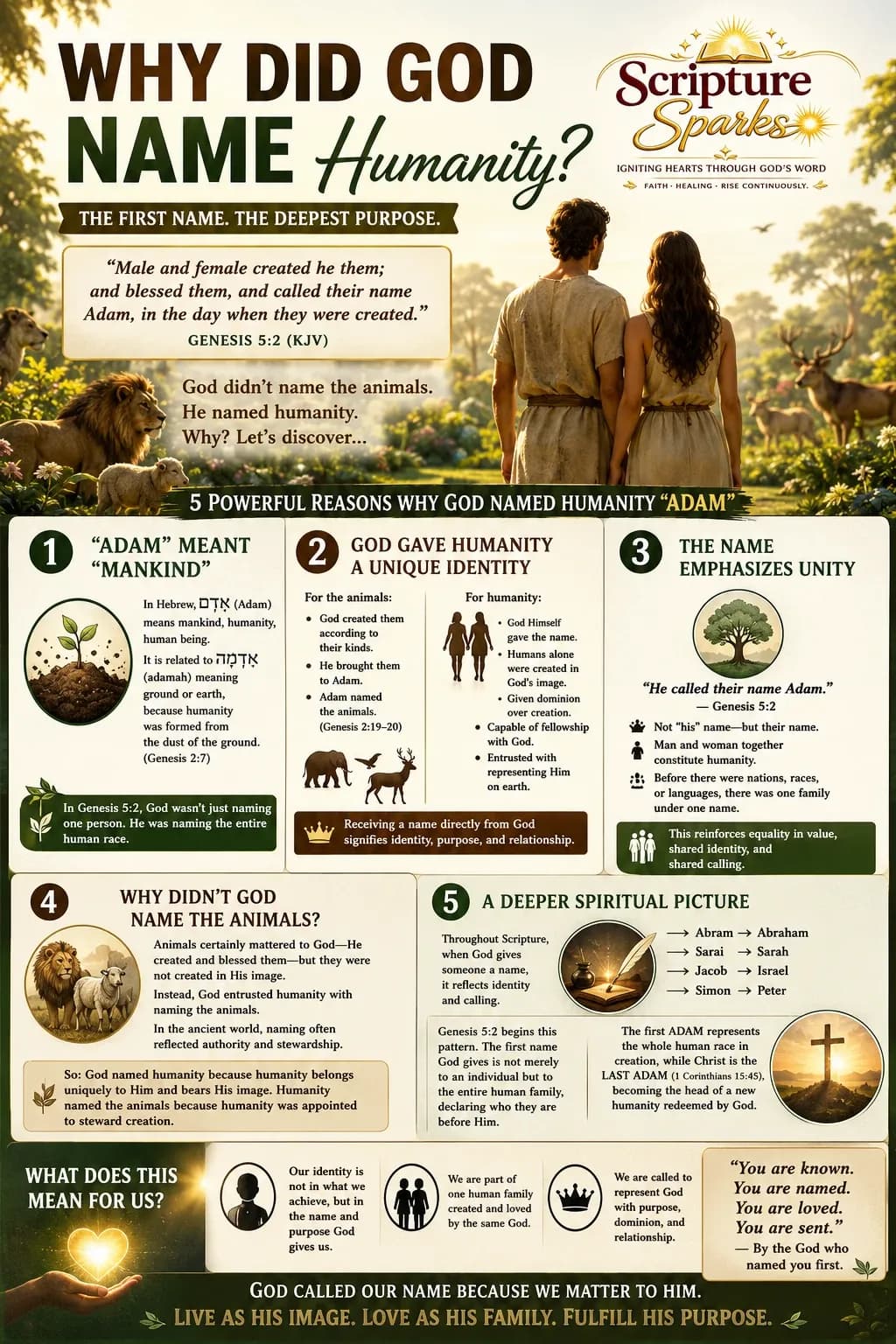 Genesis 5:2 — Why Did God Call Them Both Adam?